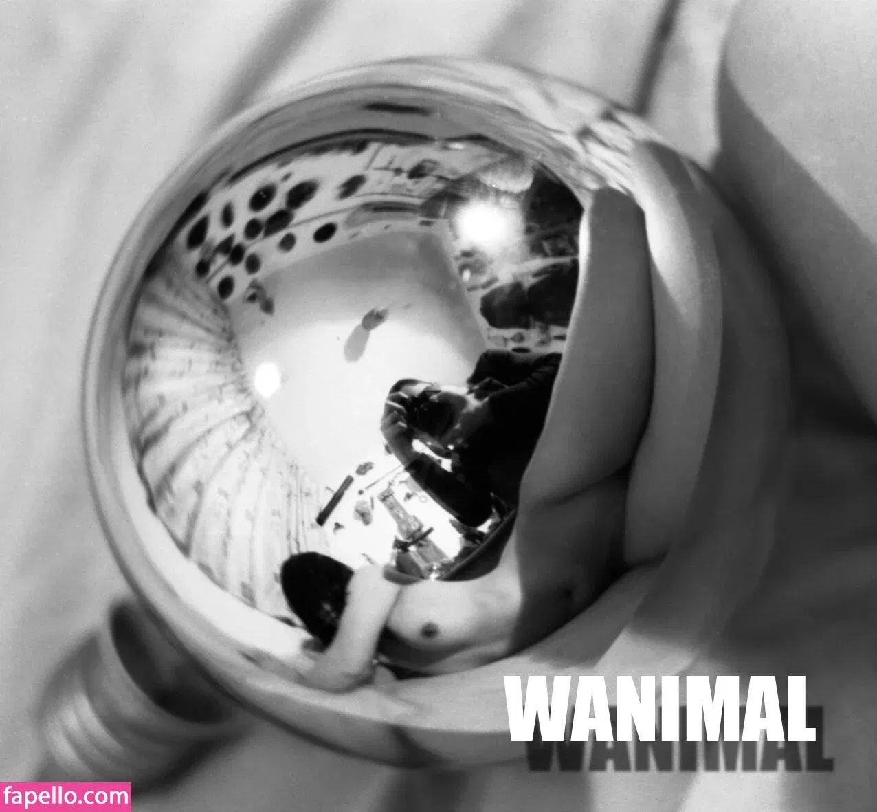 Wanimal Models Onlyfans Photo Gallery 