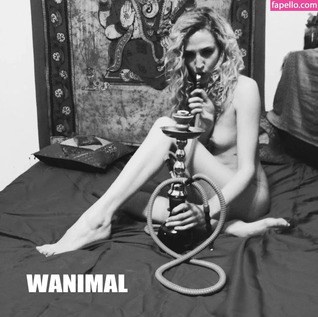 Wanimal Models Onlyfans Photo Gallery 