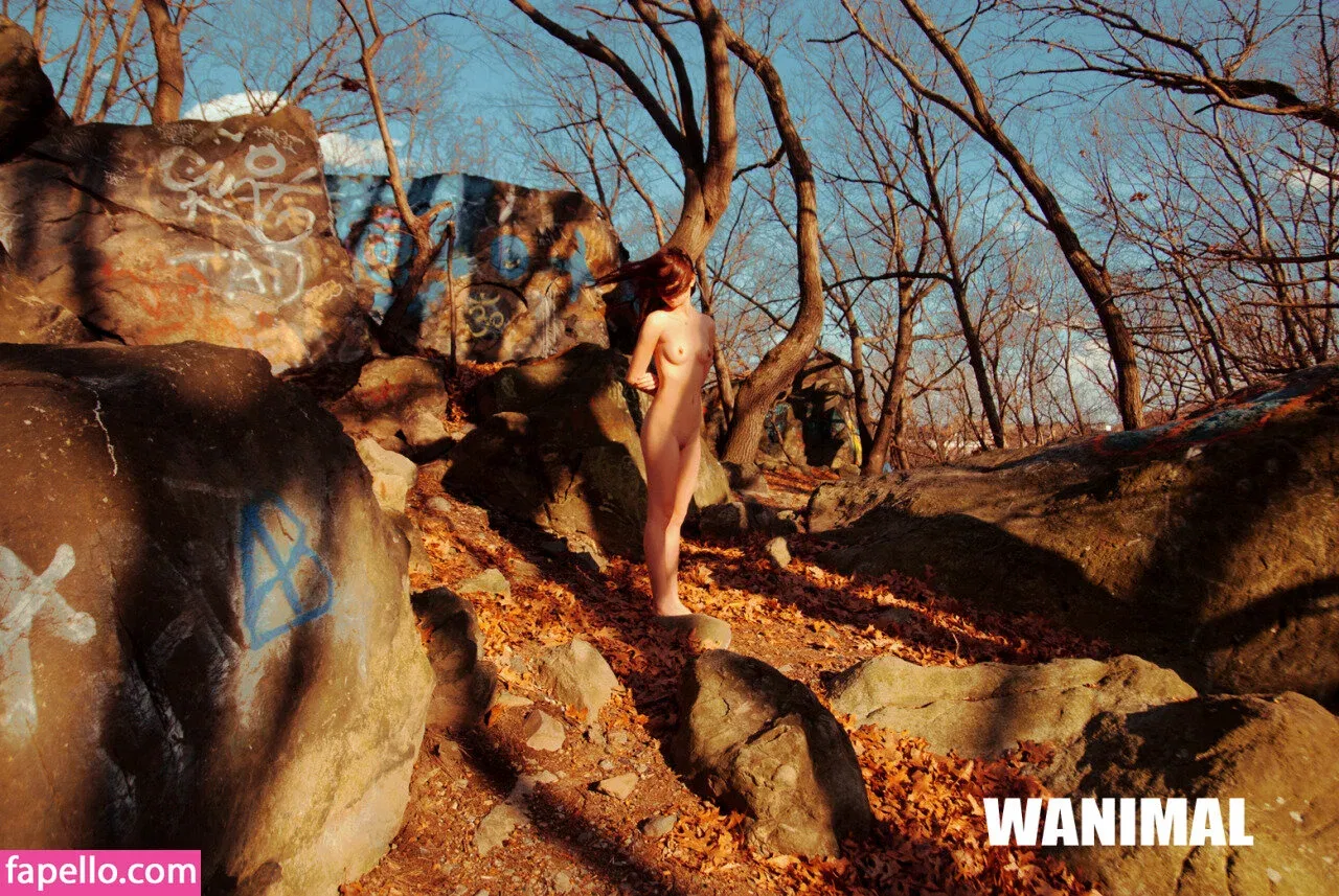 Wanimal Models Onlyfans Photo Gallery 