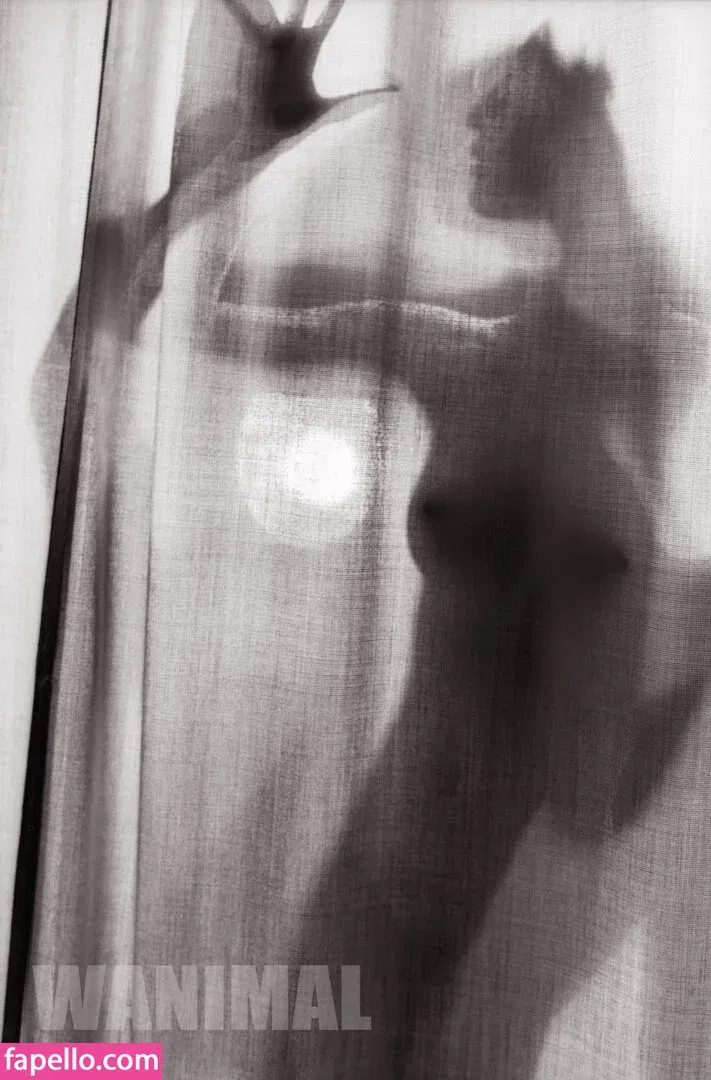 Wanimal Models Onlyfans Photo Gallery 