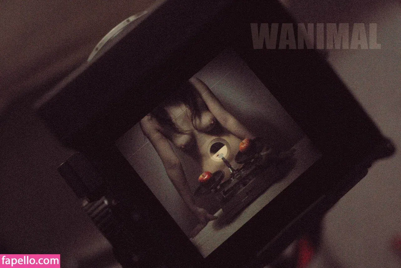 Wanimal Models Onlyfans Photo Gallery 