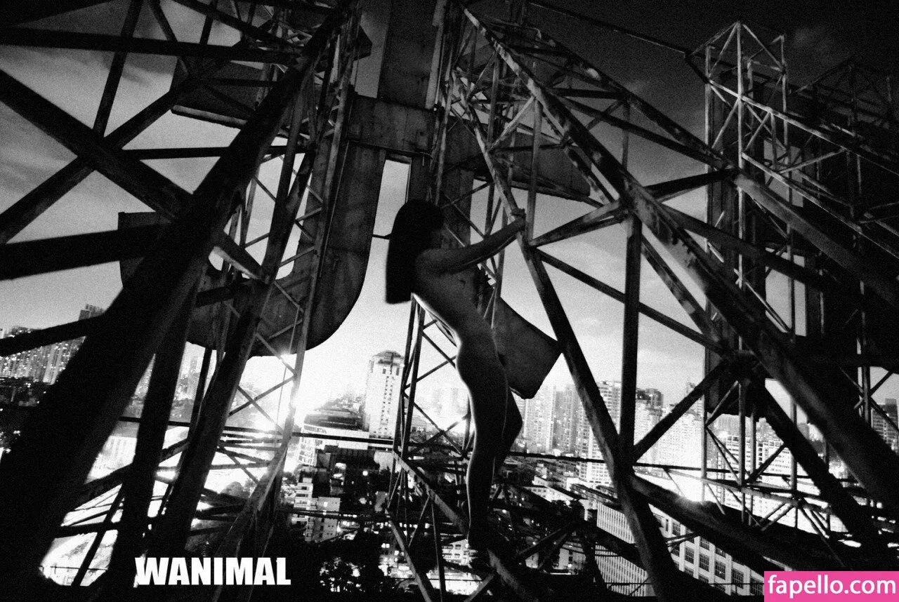 Wanimal Models Onlyfans Photo Gallery 