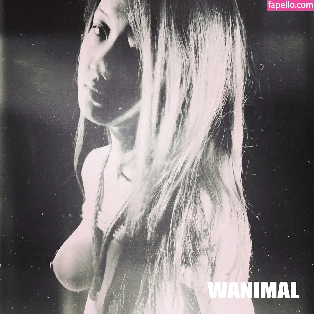 Wanimal Models Onlyfans Photo Gallery 