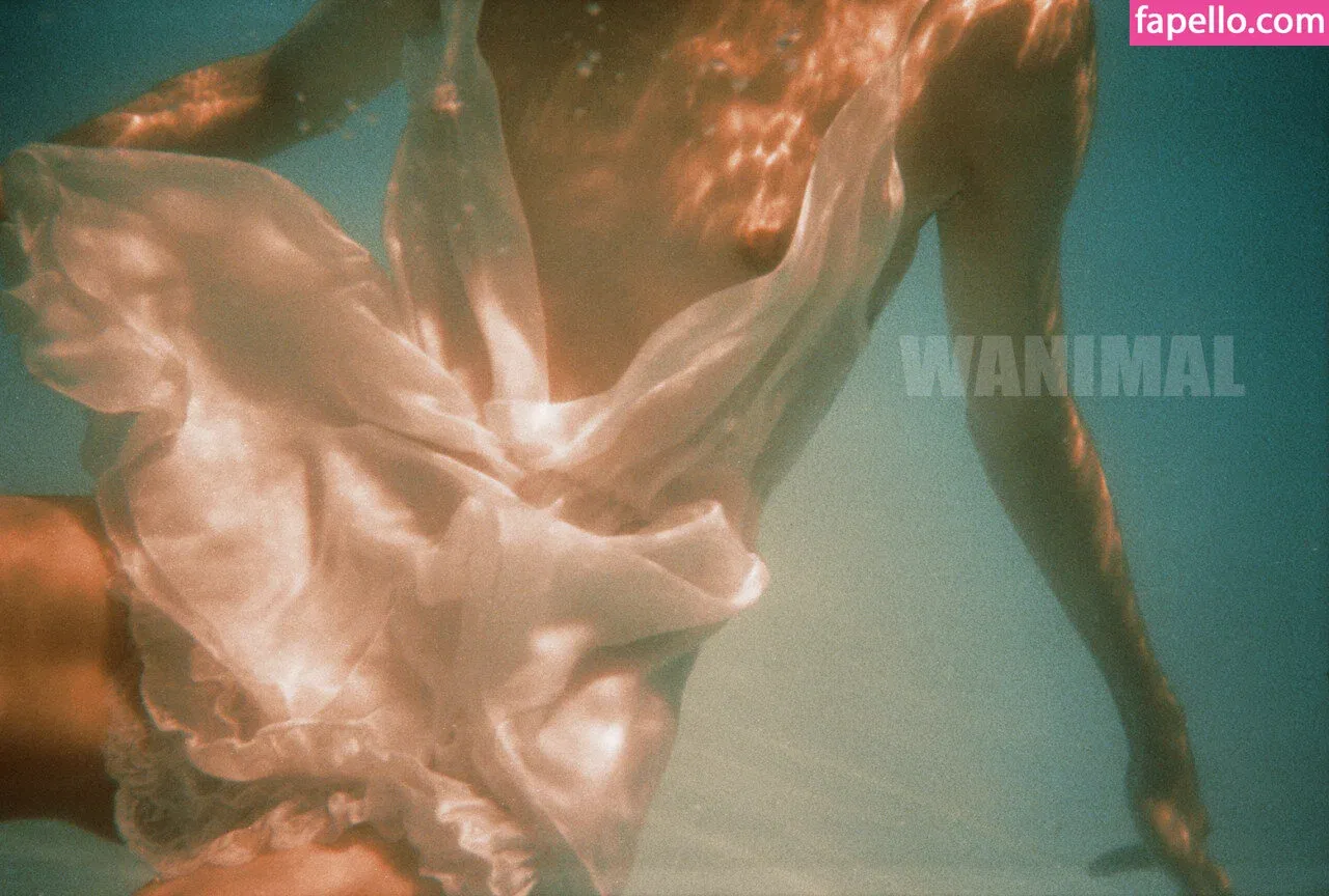 Wanimal Models Onlyfans Photo Gallery 