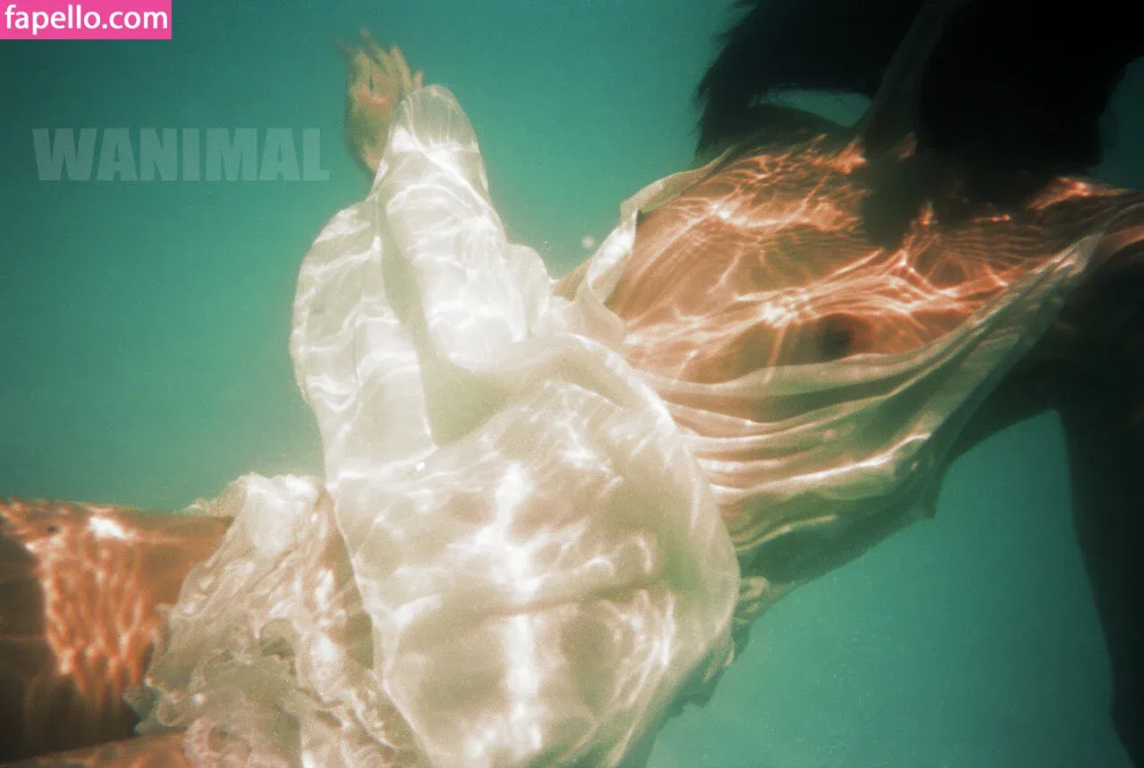 Wanimal Models Onlyfans Photo Gallery 