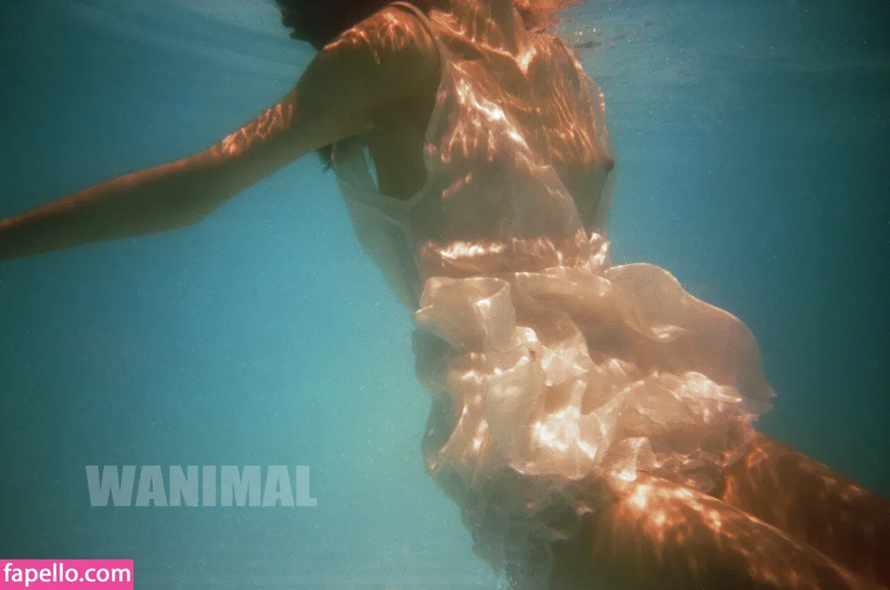 Wanimal Models Onlyfans Photo Gallery 