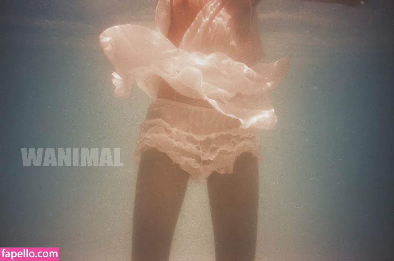 Wanimal Models Onlyfans Photo Gallery 