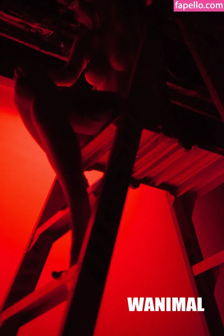 Wanimal Models Onlyfans Photo Gallery 