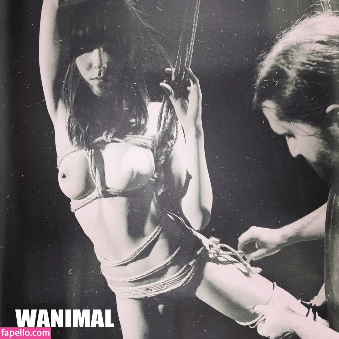 Wanimal Models Onlyfans Photo Gallery 