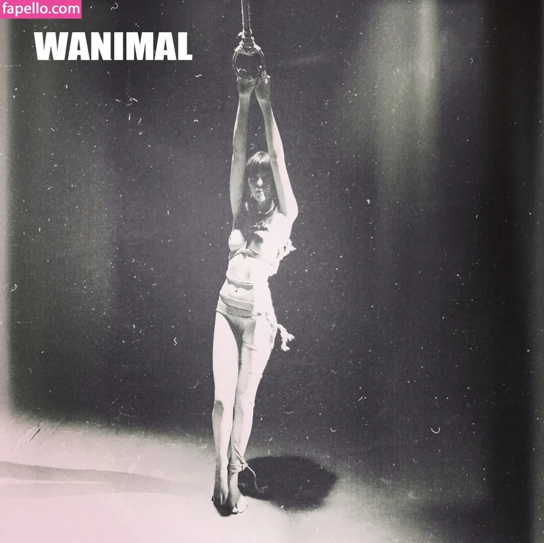 Wanimal Models Onlyfans Photo Gallery 