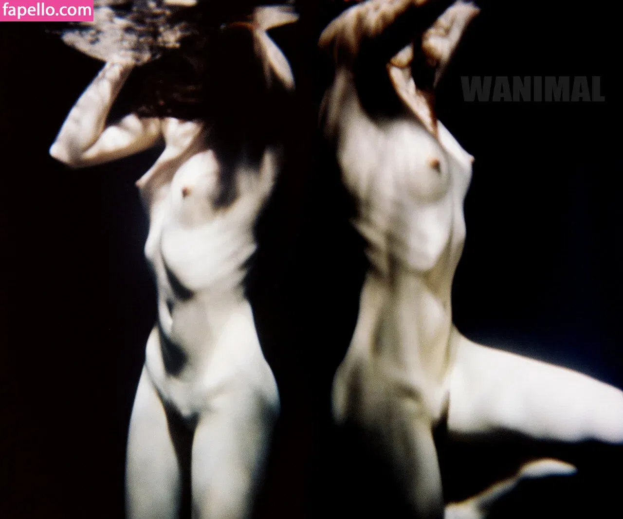 Wanimal Models Onlyfans Photo Gallery 