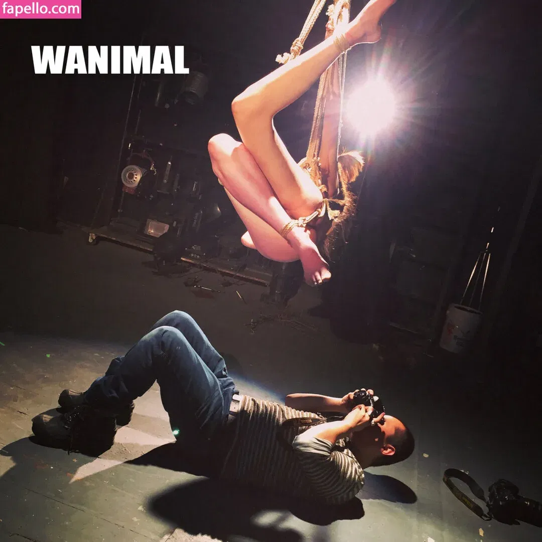 Wanimal Models Onlyfans Photo Gallery 