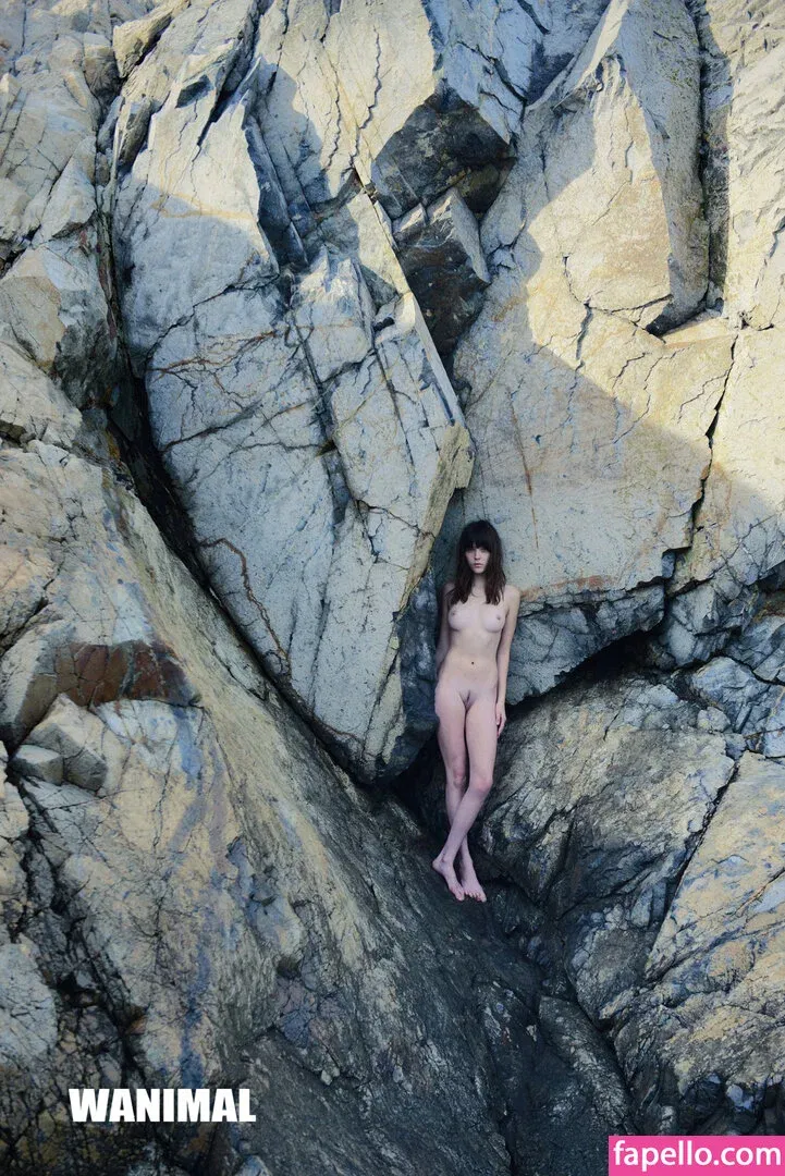 Wanimal Models Onlyfans Photo Gallery 