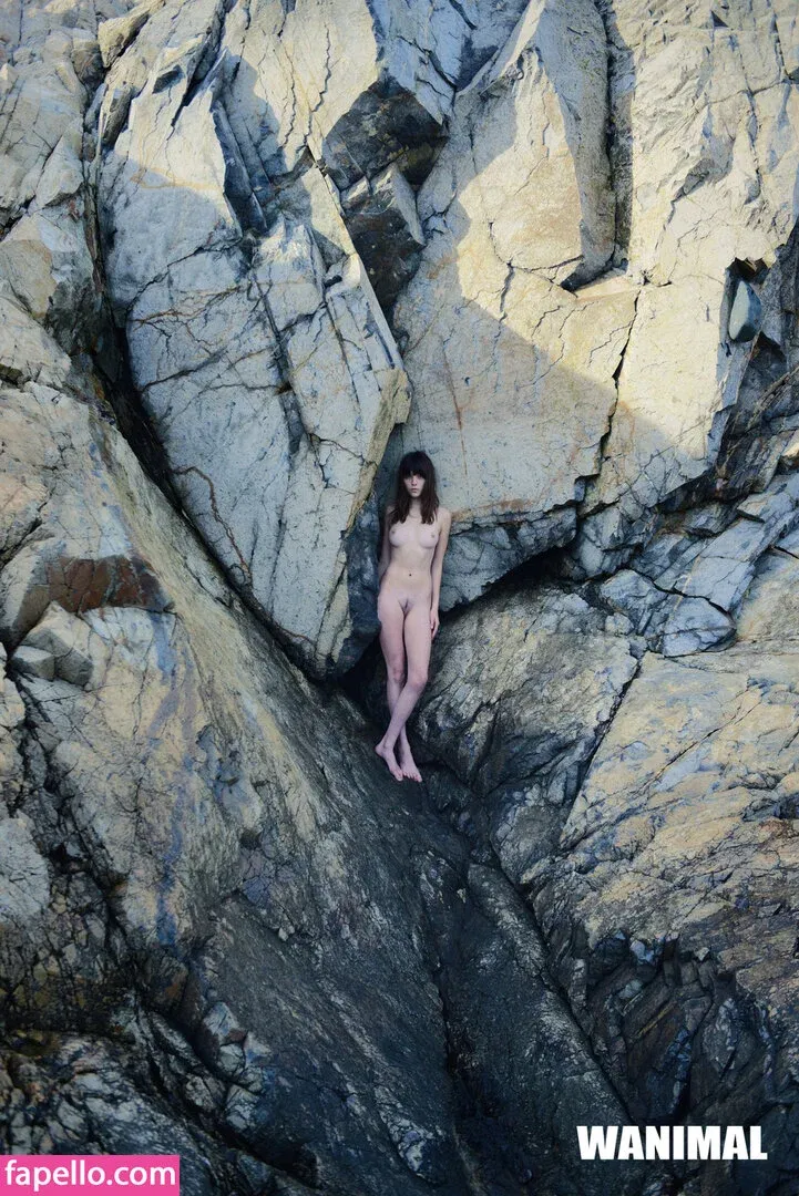 Wanimal Models Onlyfans Photo Gallery 