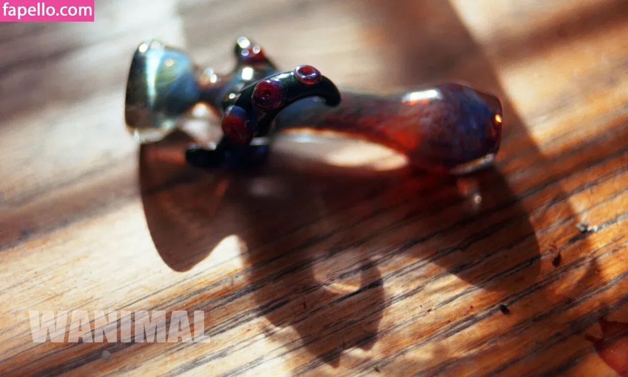 Wanimal Models Onlyfans Photo Gallery 