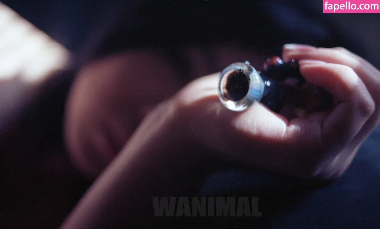 Wanimal Models Onlyfans Photo Gallery 