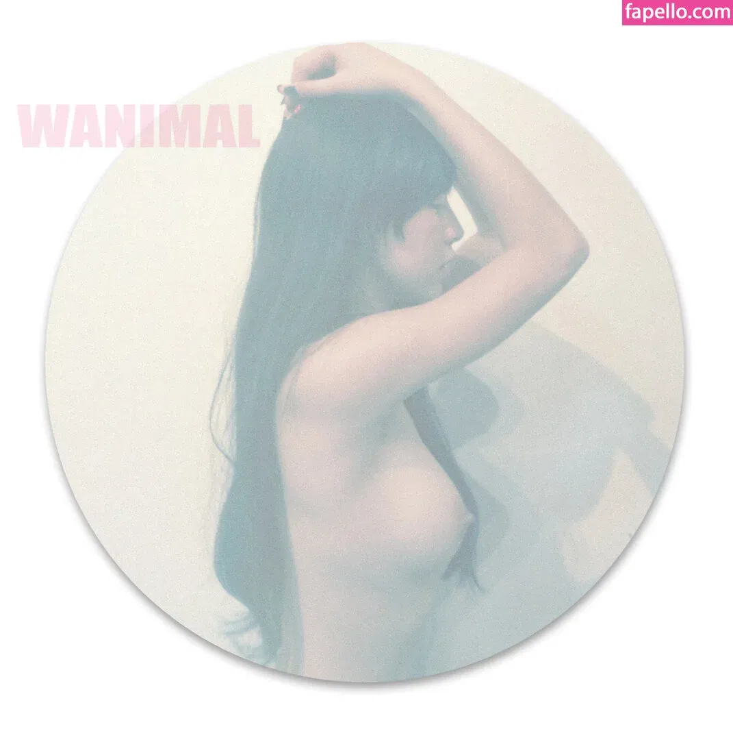 Wanimal Models Onlyfans Photo Gallery 