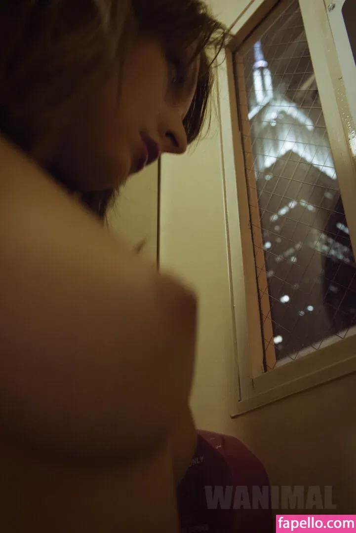 Wanimal Models Onlyfans Photo Gallery 