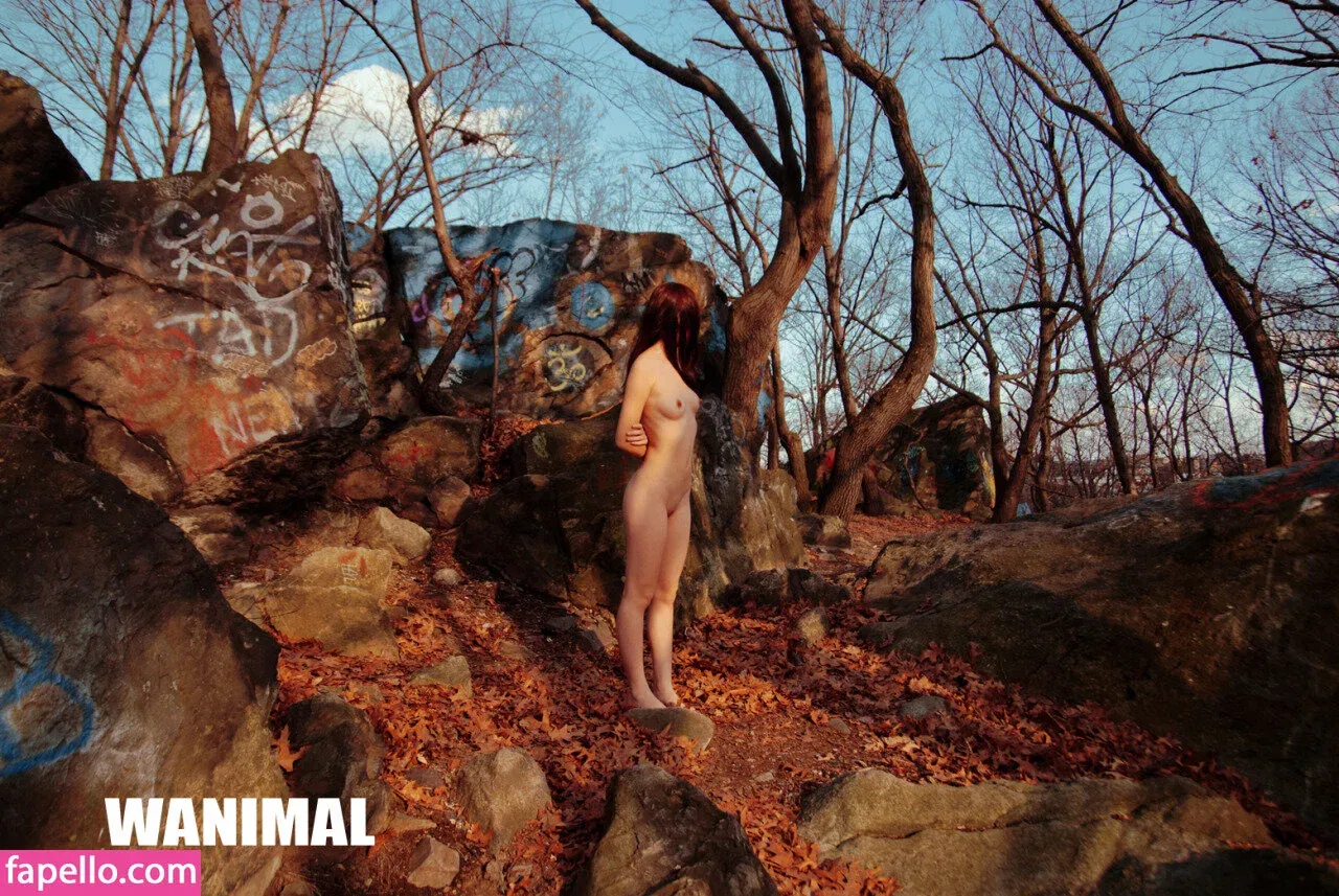 Wanimal Models Onlyfans Photo Gallery 