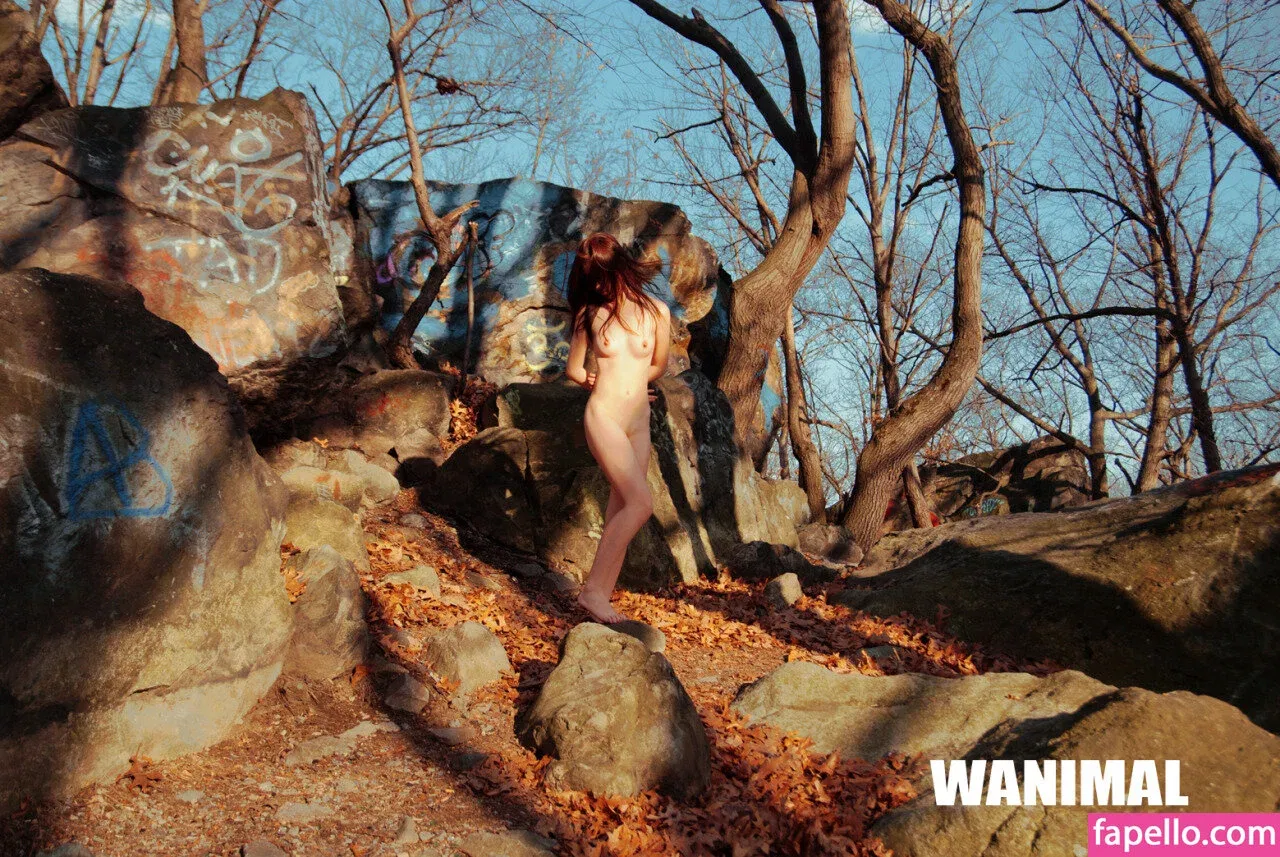 Wanimal Models Onlyfans Photo Gallery 