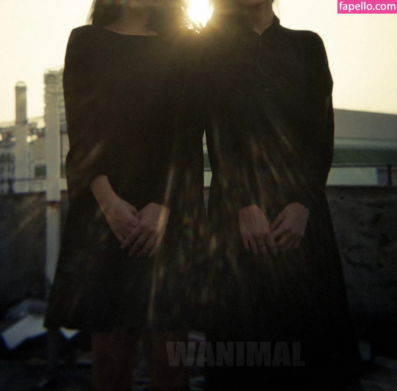 Wanimal Models Onlyfans Photo Gallery 