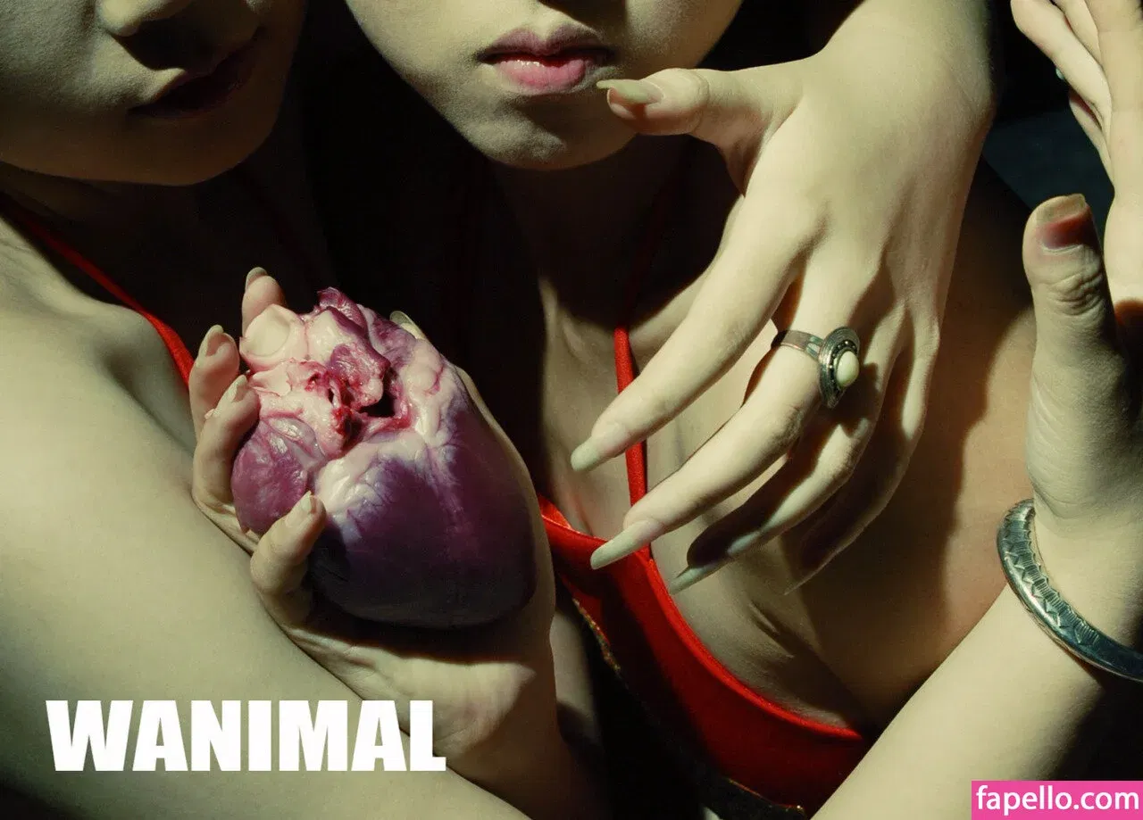 Wanimal Models Onlyfans Photo Gallery 