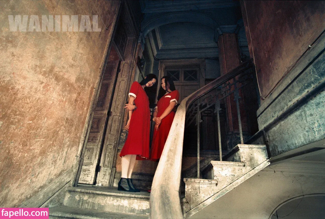 Wanimal Models Onlyfans Photo Gallery 