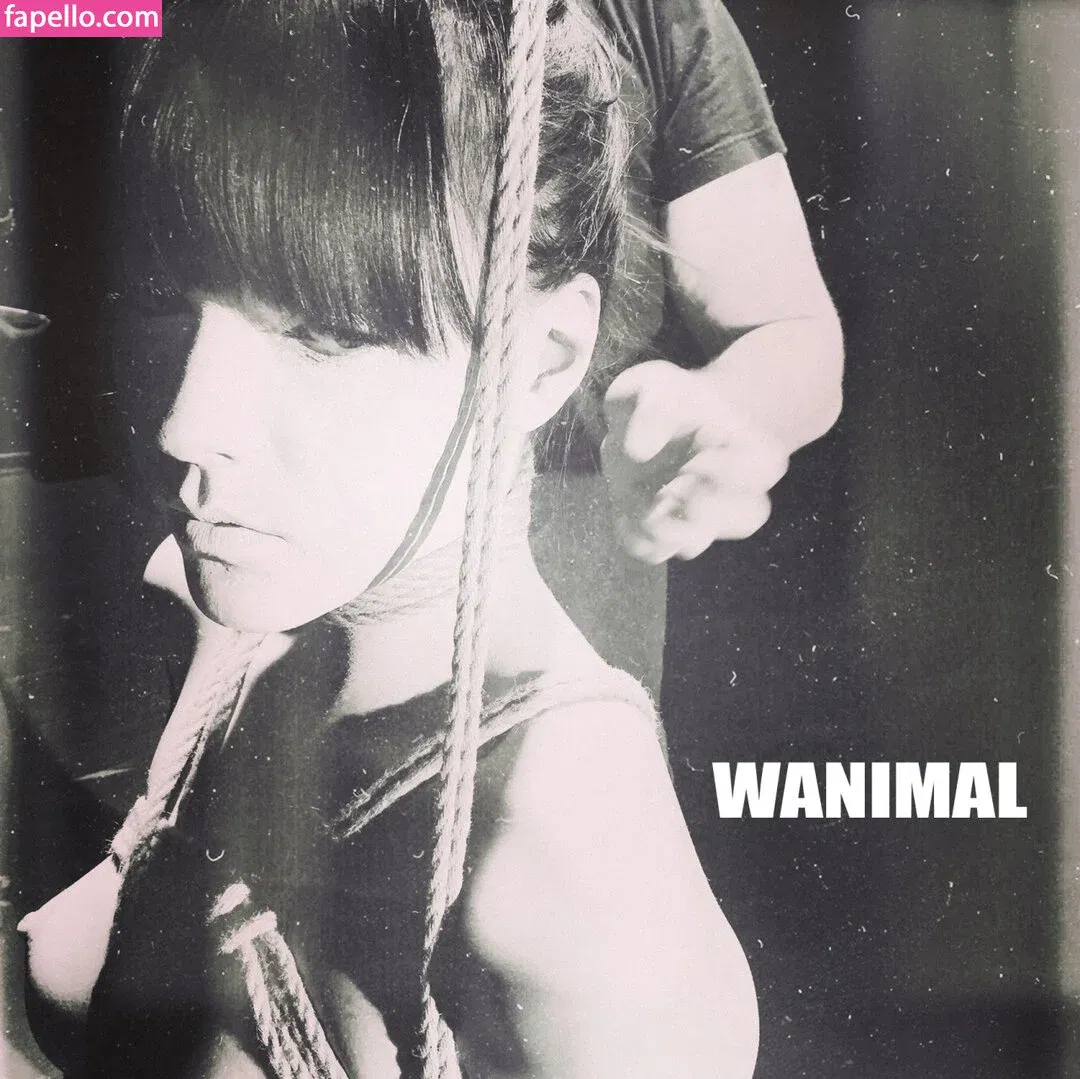 Wanimal Models Onlyfans Photo Gallery 