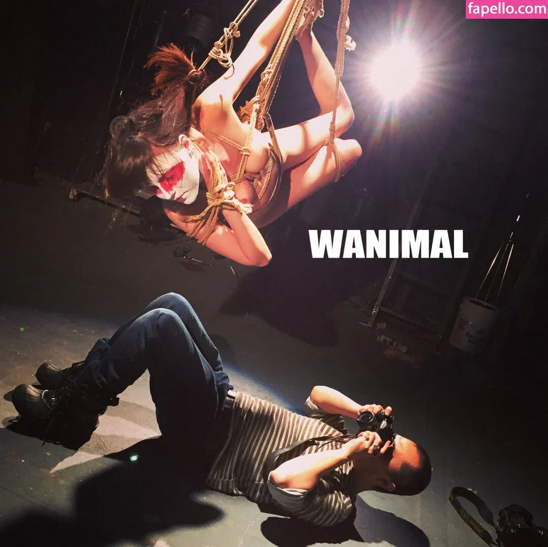 Wanimal Models Onlyfans Photo Gallery 