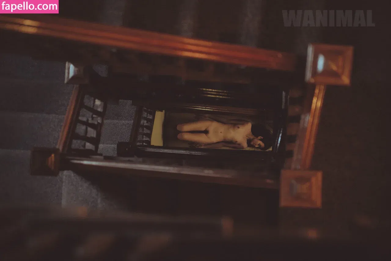 Wanimal Models Onlyfans Photo Gallery 