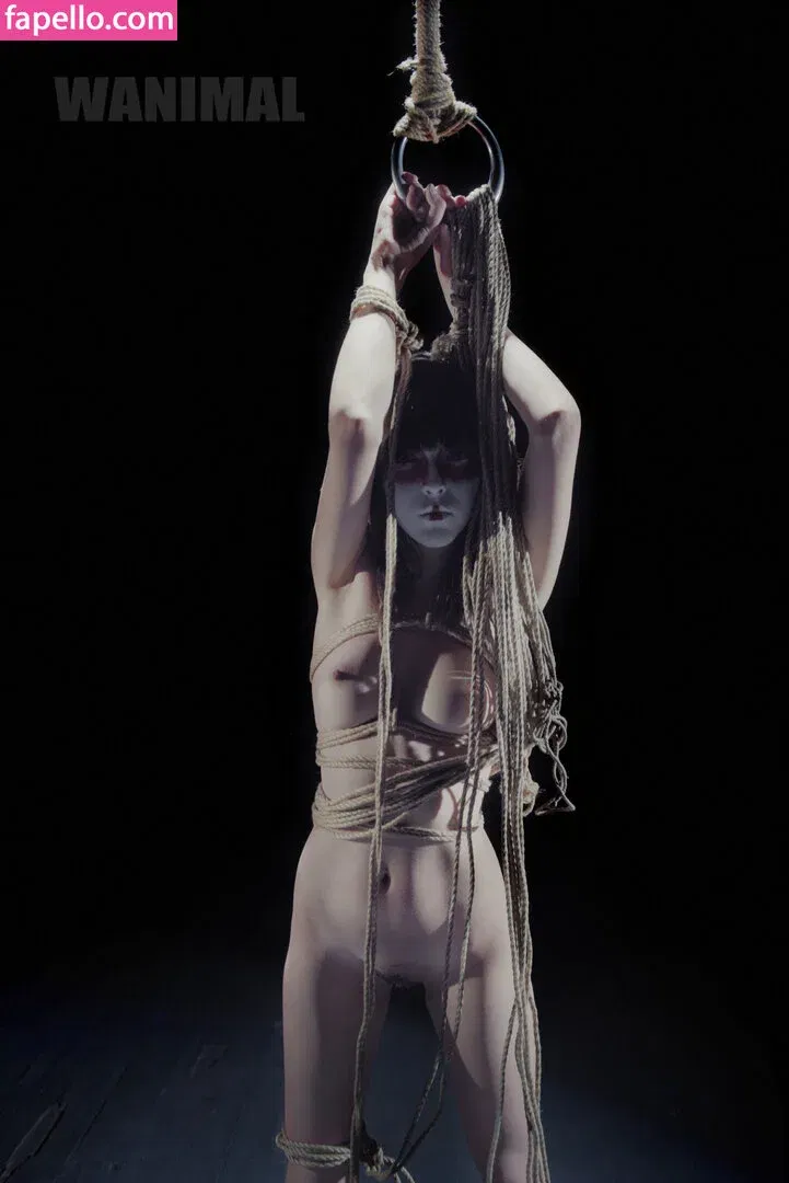 Wanimal Models Onlyfans Photo Gallery 