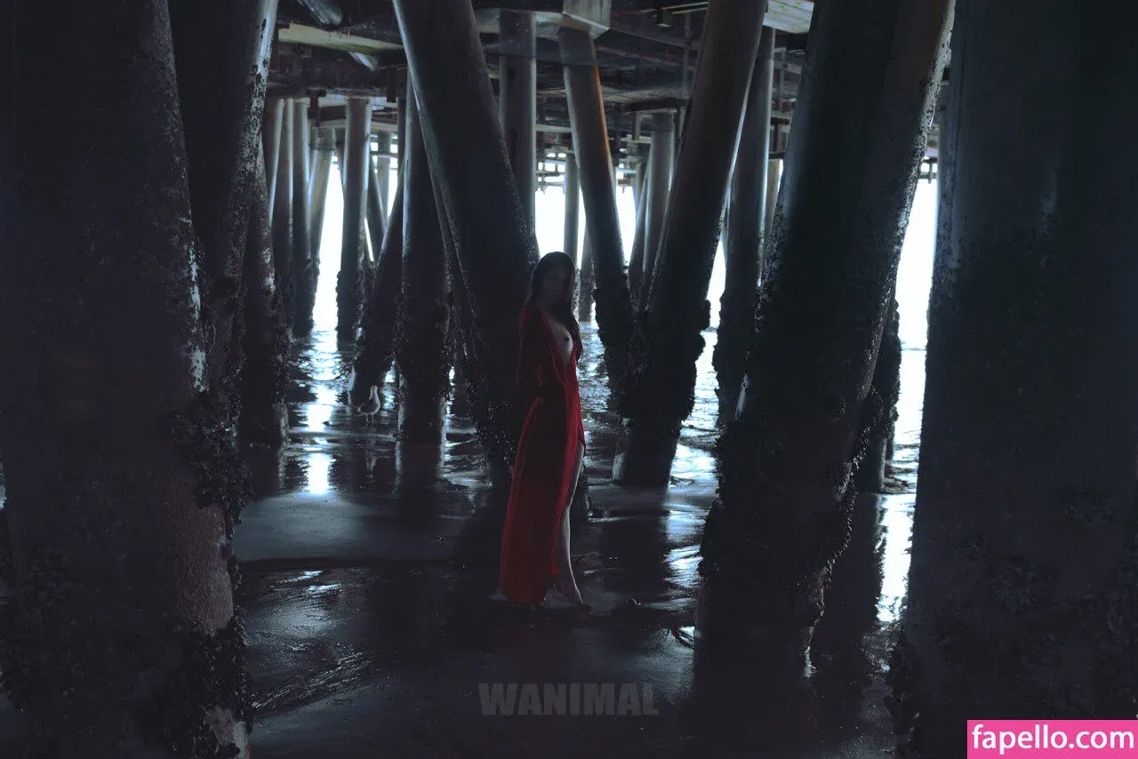 Wanimal Models Onlyfans Photo Gallery 