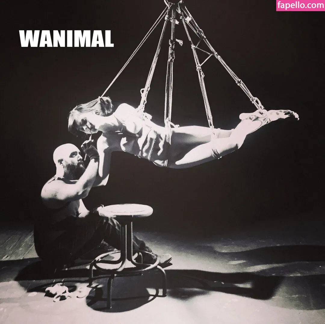 Wanimal Models Onlyfans Photo Gallery 