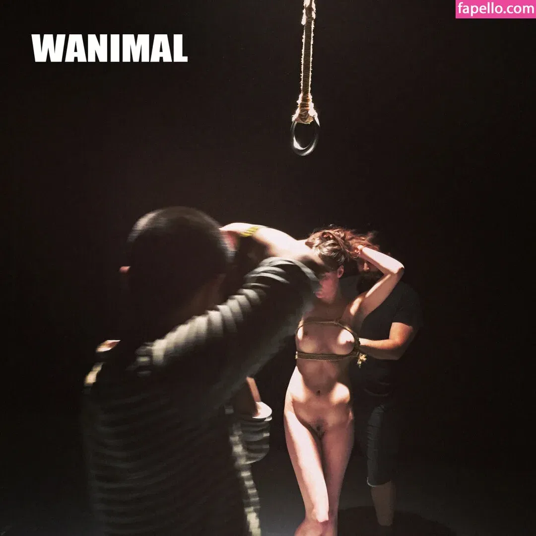 Wanimal Models Onlyfans Photo Gallery 