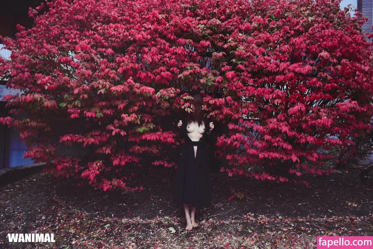 Wanimal Models Onlyfans Photo Gallery 