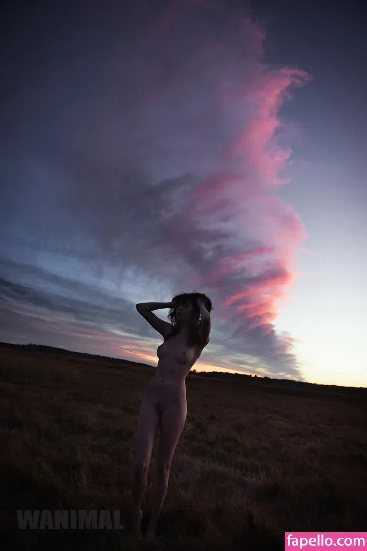 Wanimal Models Onlyfans Photo Gallery 