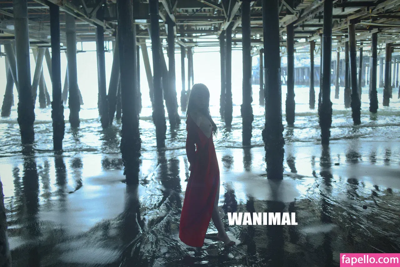 Wanimal Models Onlyfans Photo Gallery 