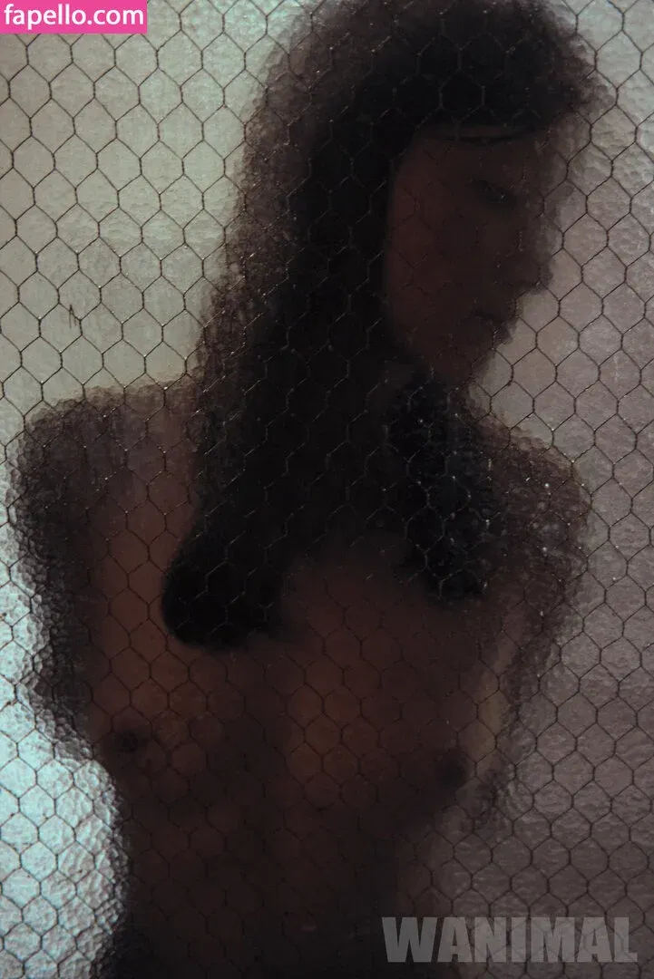 Wanimal Models Onlyfans Photo Gallery 