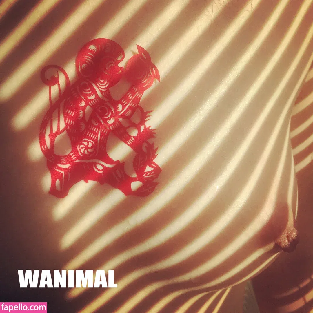 Wanimal Models Onlyfans Photo Gallery 