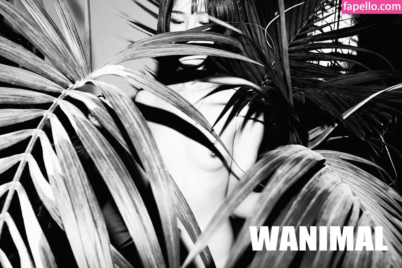 Wanimal Models Onlyfans Photo Gallery 