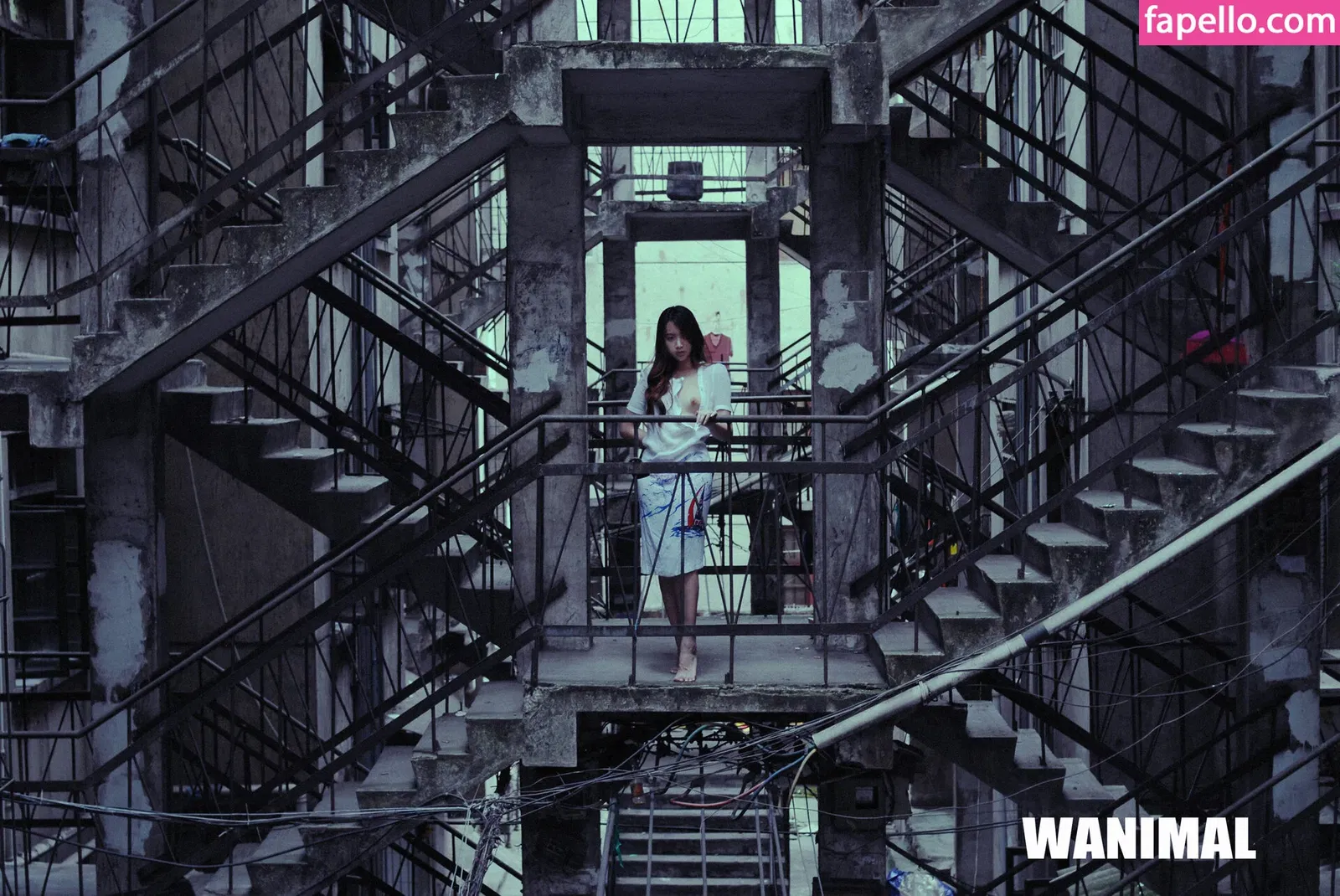 Wanimal Models Onlyfans Photo Gallery 