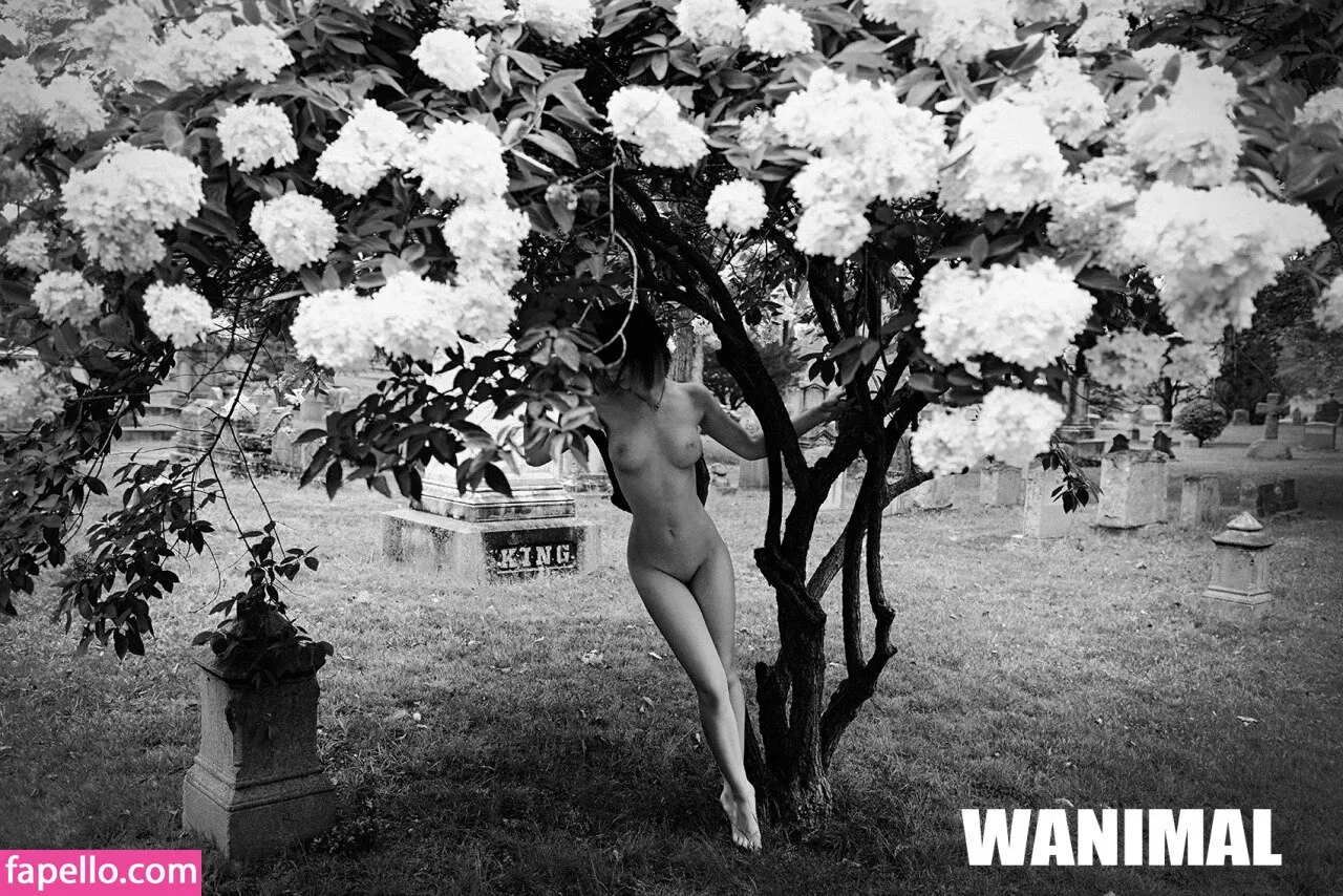 Wanimal Models Onlyfans Photo Gallery 