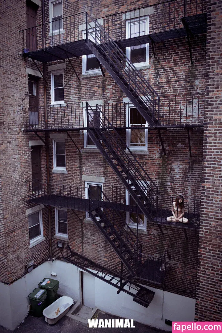 Wanimal Models Onlyfans Photo Gallery 