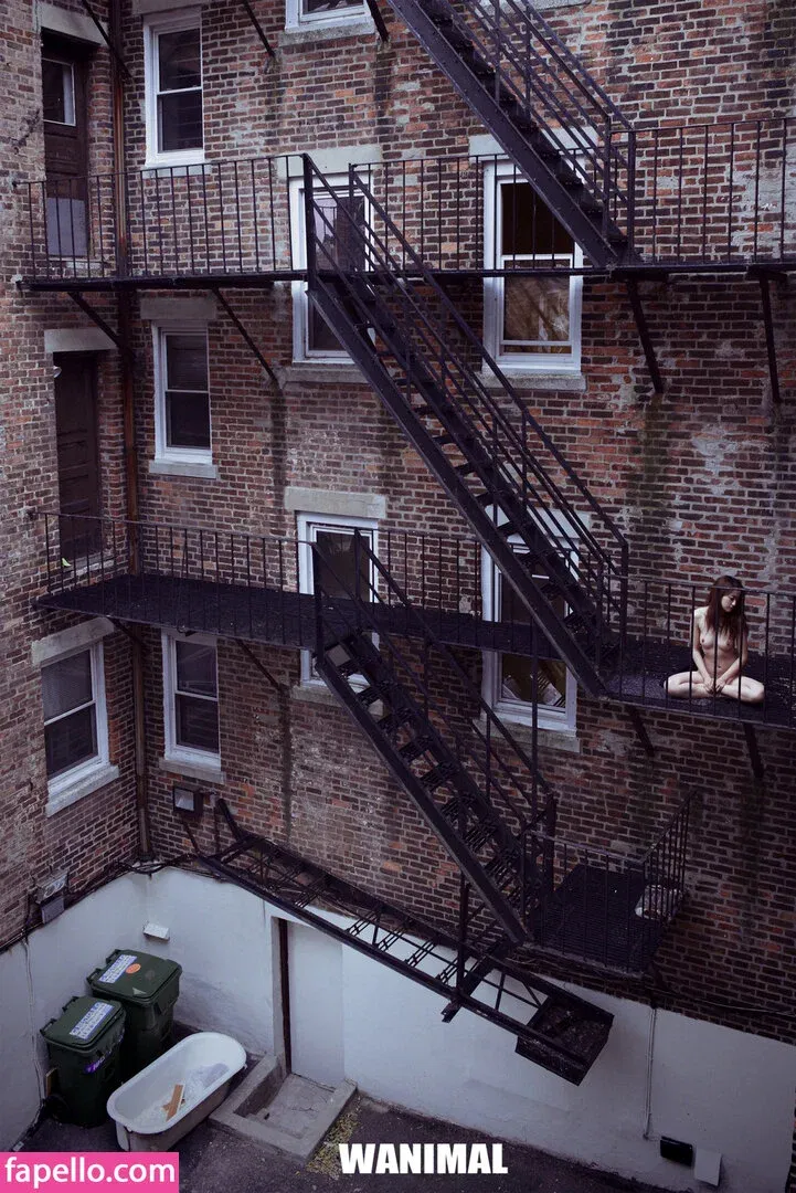 Wanimal Models Onlyfans Photo Gallery 