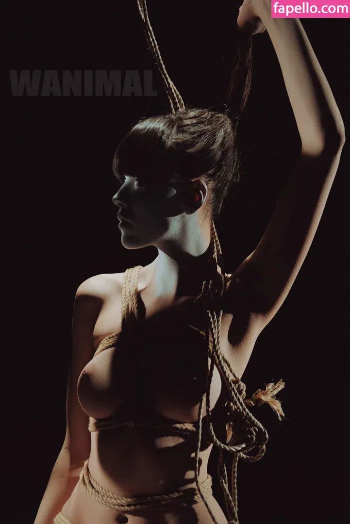 Wanimal Models Onlyfans Photo Gallery 