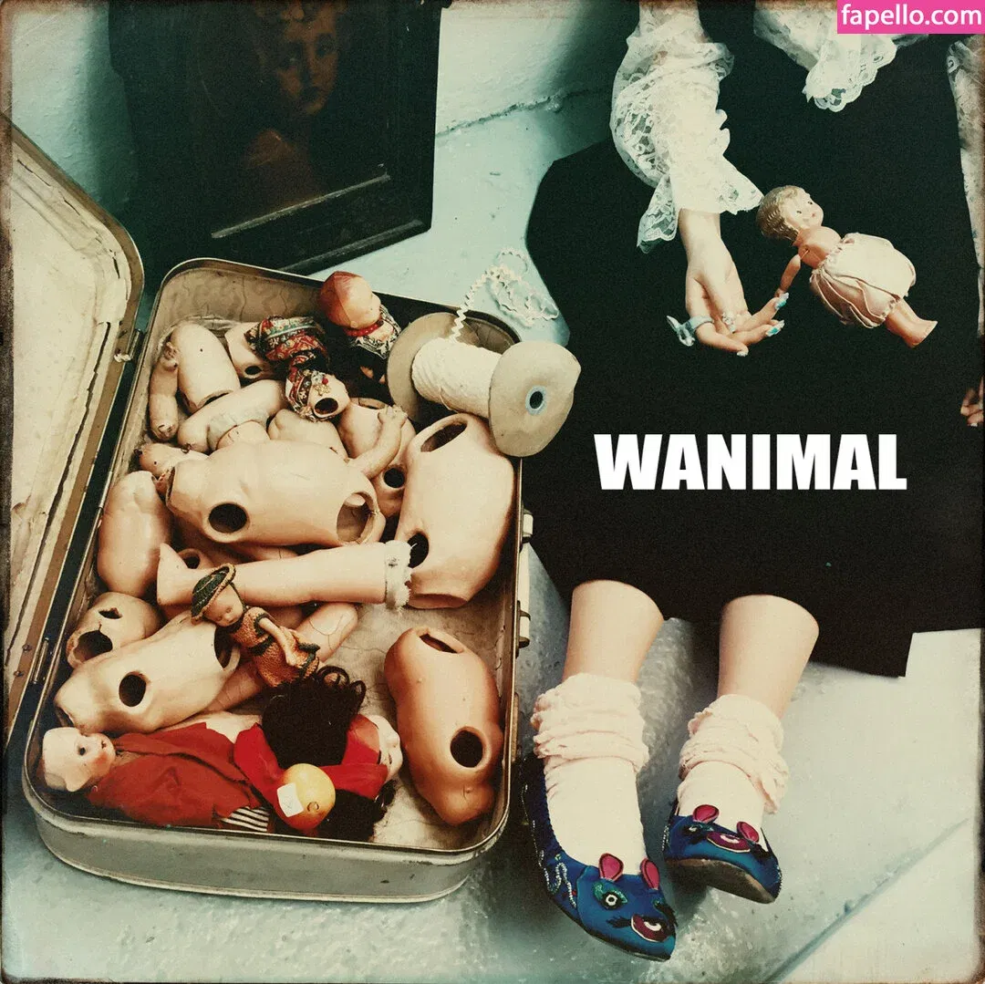 Wanimal Models Onlyfans Photo Gallery 