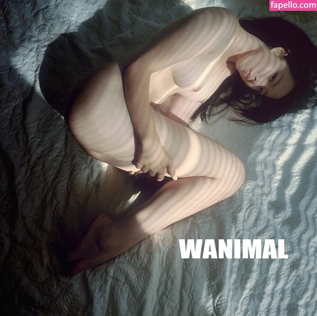 Wanimal Models Onlyfans Photo Gallery 