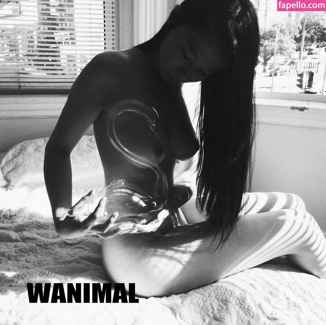 Wanimal Models Onlyfans Photo Gallery 