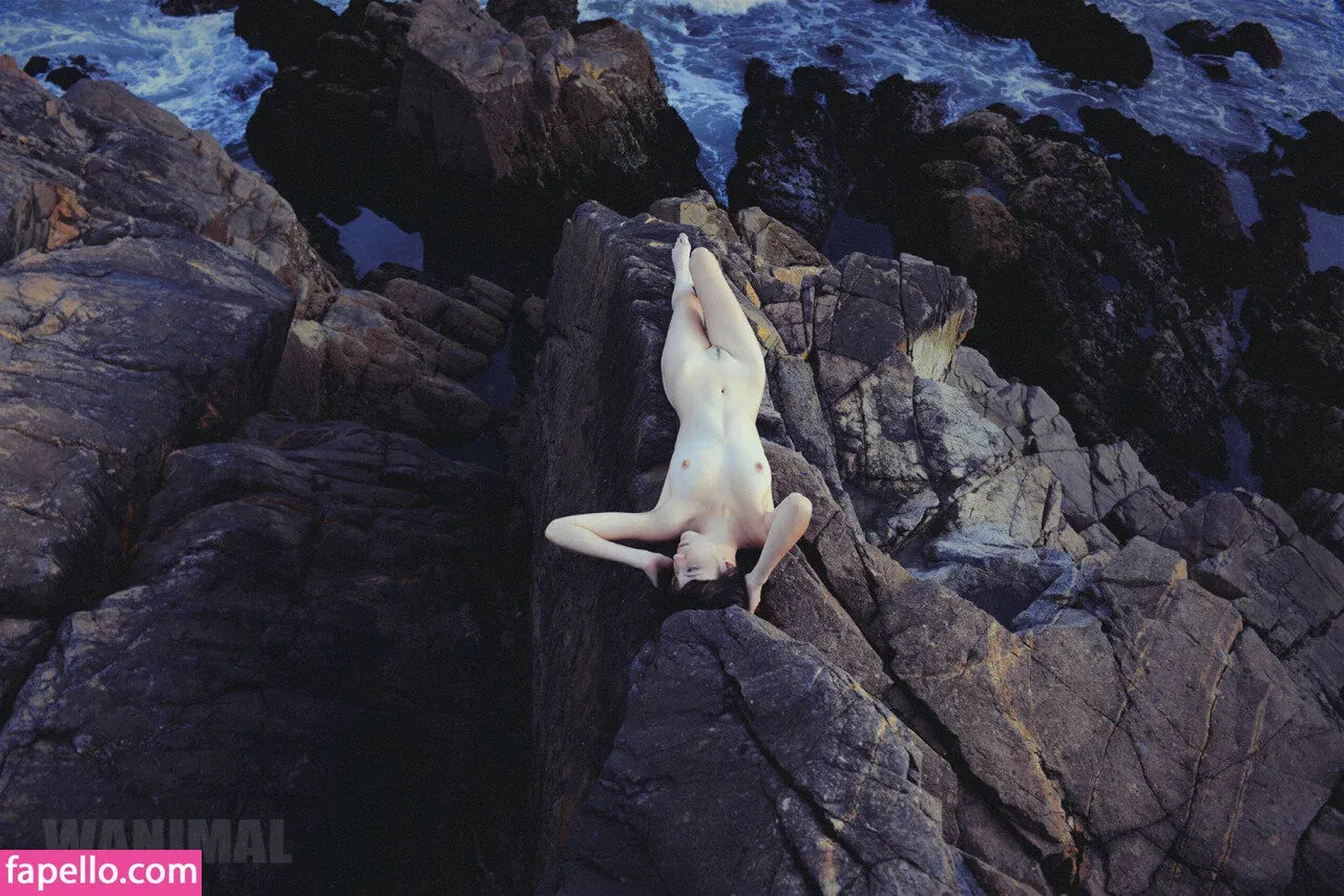 Wanimal Models Onlyfans Photo Gallery 