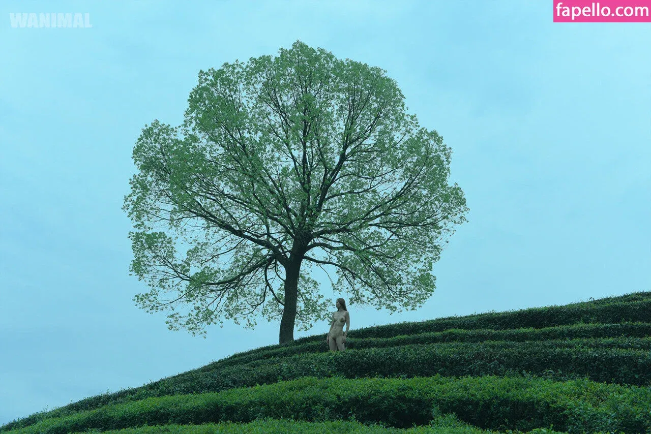 Wanimal Models Onlyfans Photo Gallery 